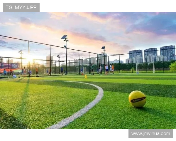 绿茵场上的激情与智慧探索现代足球竞技的魅力与变革