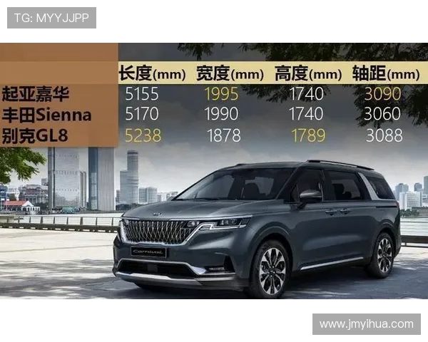 武汉排球队在洲际杯积分榜中以56分稳居第一名展现强劲实力